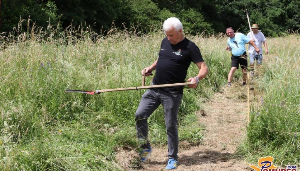 Začela se je sezona košnje: Če kosite travo v nedeljo, vas to lahko drago stane